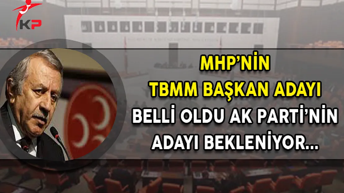 MHP'nin Meclis Başkan Adayı Belli Oldu