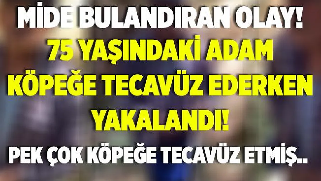Mide bulandıran olay! 75 yaşındaki yaşlı adam köpeğe tecavüz ederken yakalandı! Eşinden şoke eden açıklama!