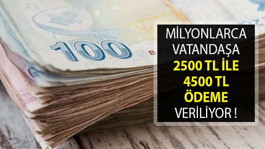 Milyonlarca Vatandaşa 2500 TL İle 4500 TL Ödeme Veriliyor!