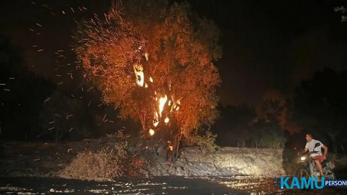 Muğla Dalaman'daki Yangın Kontrol Altına Alındı