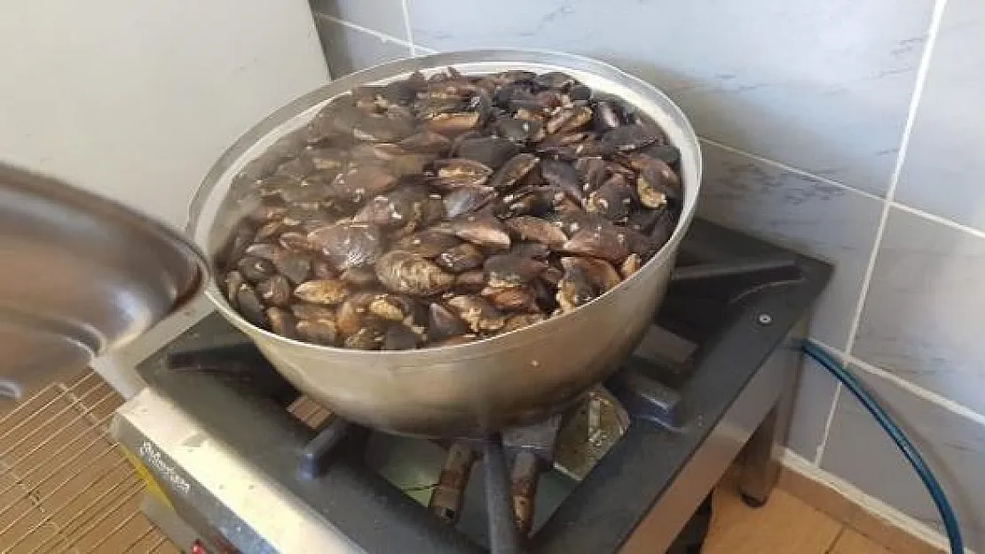 Muğla'da midye imalathanesi kapatıldı
