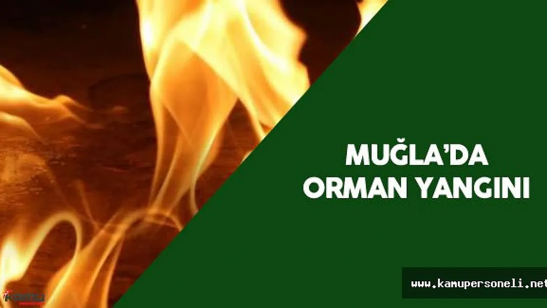 Muğla'daki Orman Yangını için 3 Helikopter ve 15 Arazöz Seferber Oldu