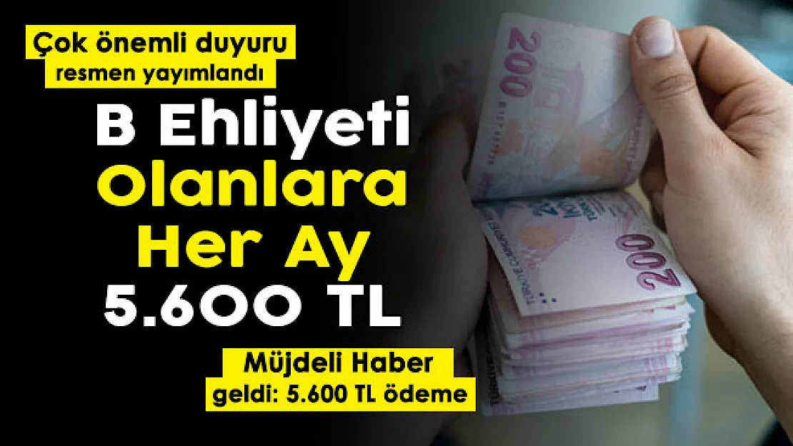 Müjde resmen duyuruldu! B sınıfı ehliyeti olanlar dikkat: Her ay 5 bin 600 lira veriliyor