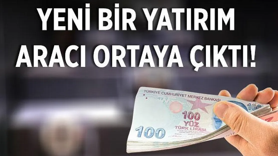Ne altın ne dolar ne gümüş.. Yeni bir yatırım aracı devreye girdi!