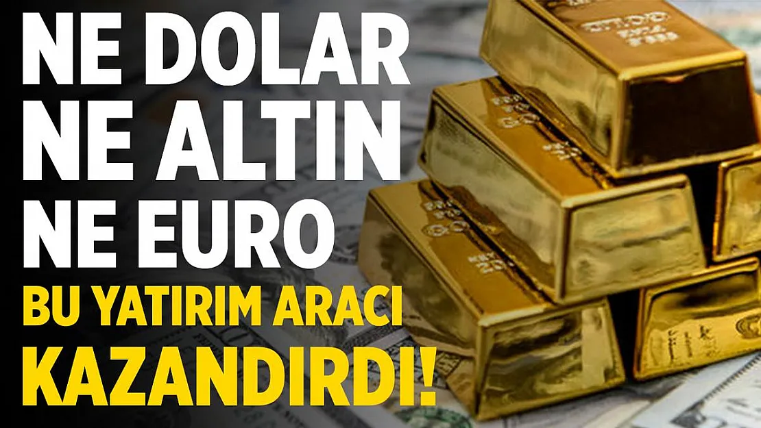 Ne dolar ne altın ne euro! Buna yatırım yapan kazandı!
