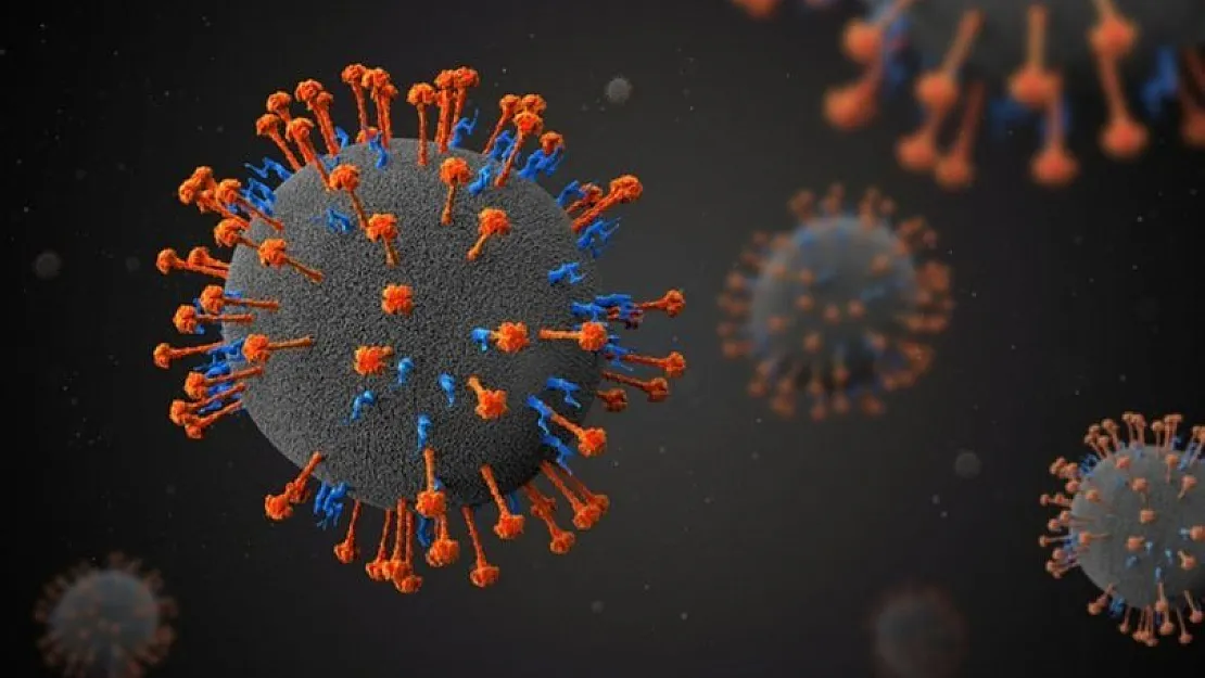Nipah virüsüne karşı kritik uyarı! Ölüm oranı yüzde 75! Nipah virüsü nedir?