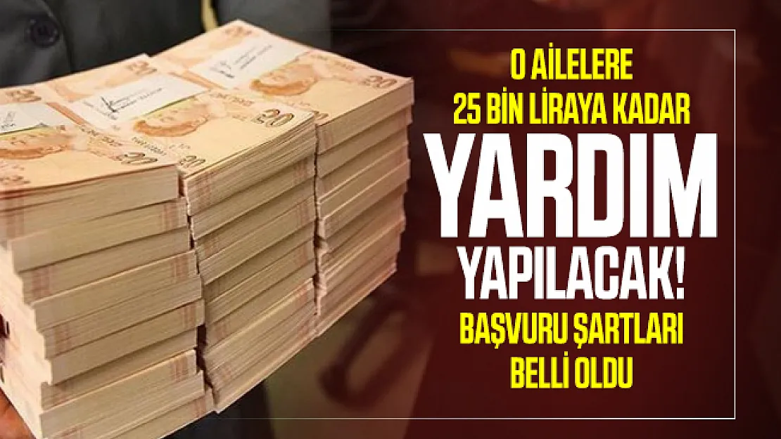 O Ailelere 25 bin liraya kadar yardım yapılacak! Başvuru şartları belli oldu