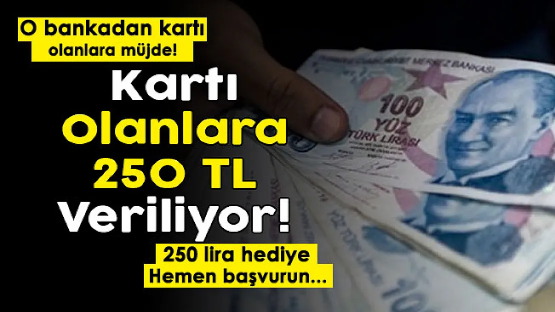 O bankada kartı olan vatandaşlara 250 lira hediye ediliyor! Hemen başvurun