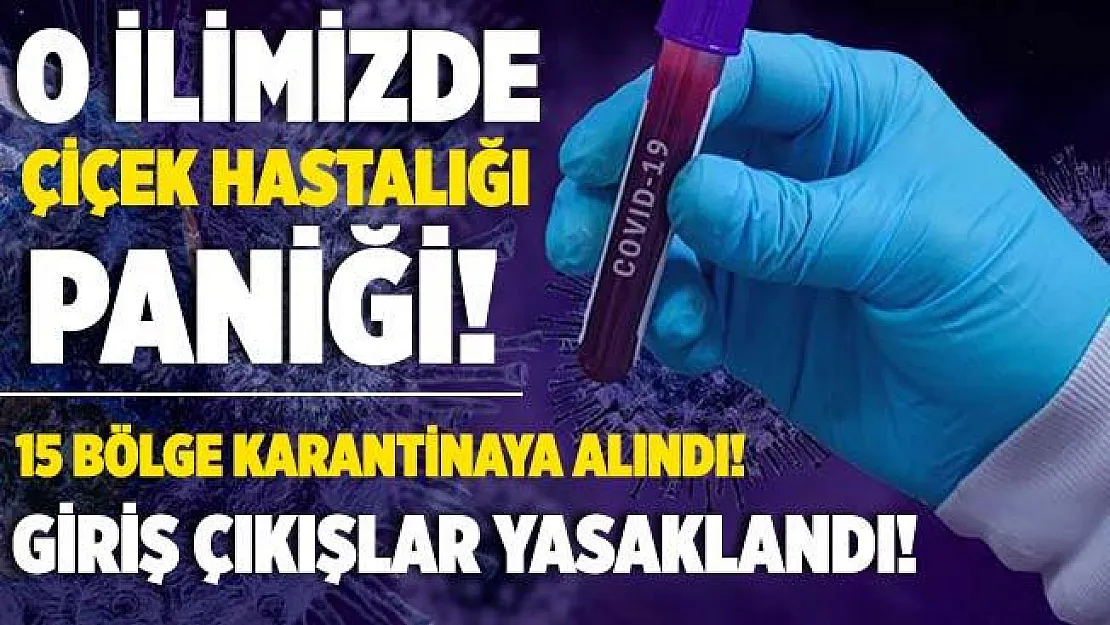 O ilimizde çiçek hastalığı paniği! 15 bölge karantinaya alındı! İkinci bir karara kadar giriş çıkışlar yasaklandı!