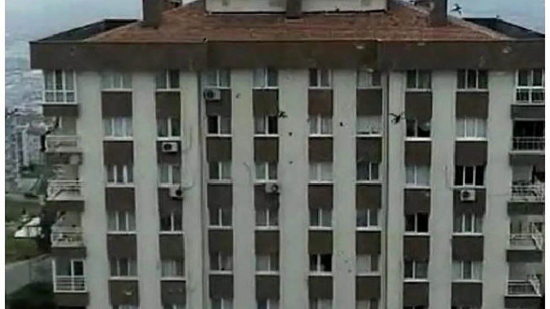 O ilimizde korkutan böcek istilası! Vatandaşlar tedirgin oldu!