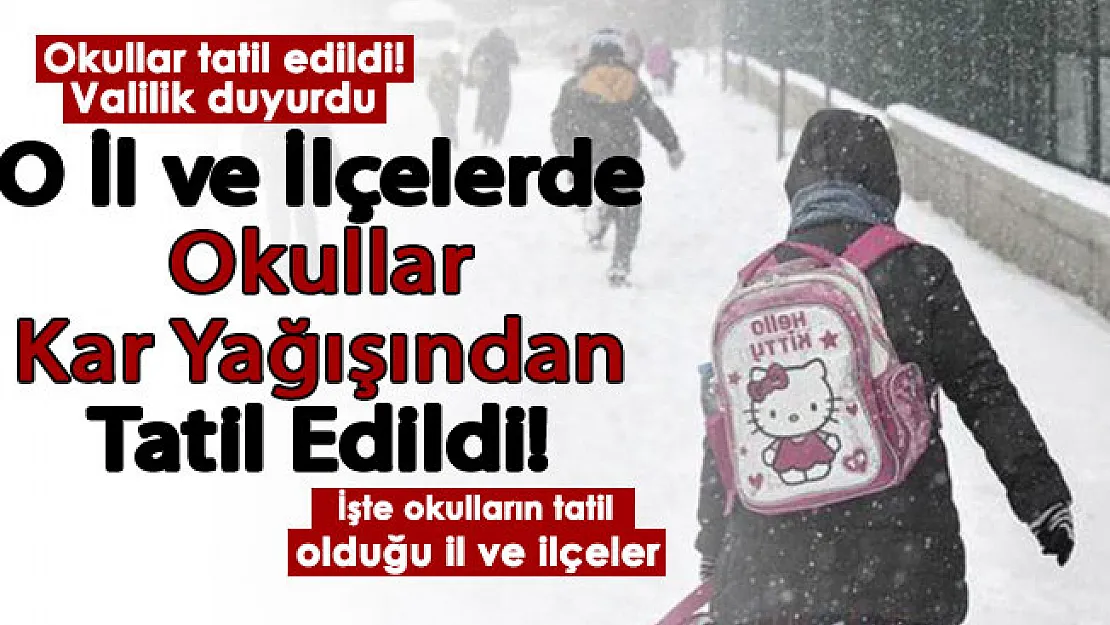O şehirde bazı ilçelerde yoğun kar yağışından dolayı okullar tatil edildi! İşte okulların tatil edildiği il ve ilçeler