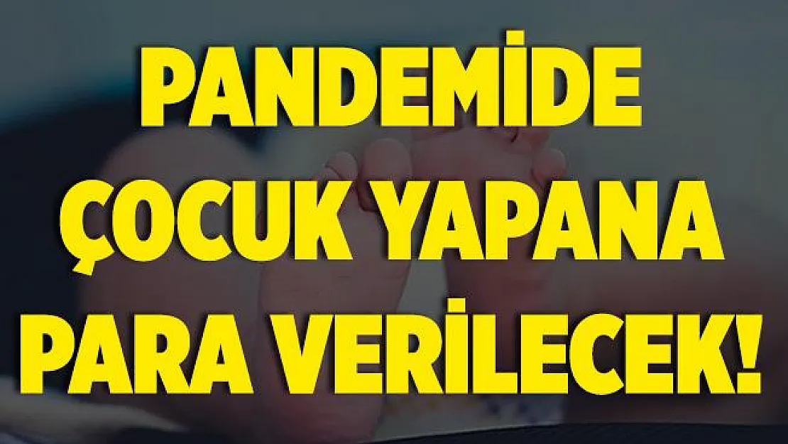O ülkede ikinci dalga için ilginç önlem! Çocuk yapanlara para verilecek!