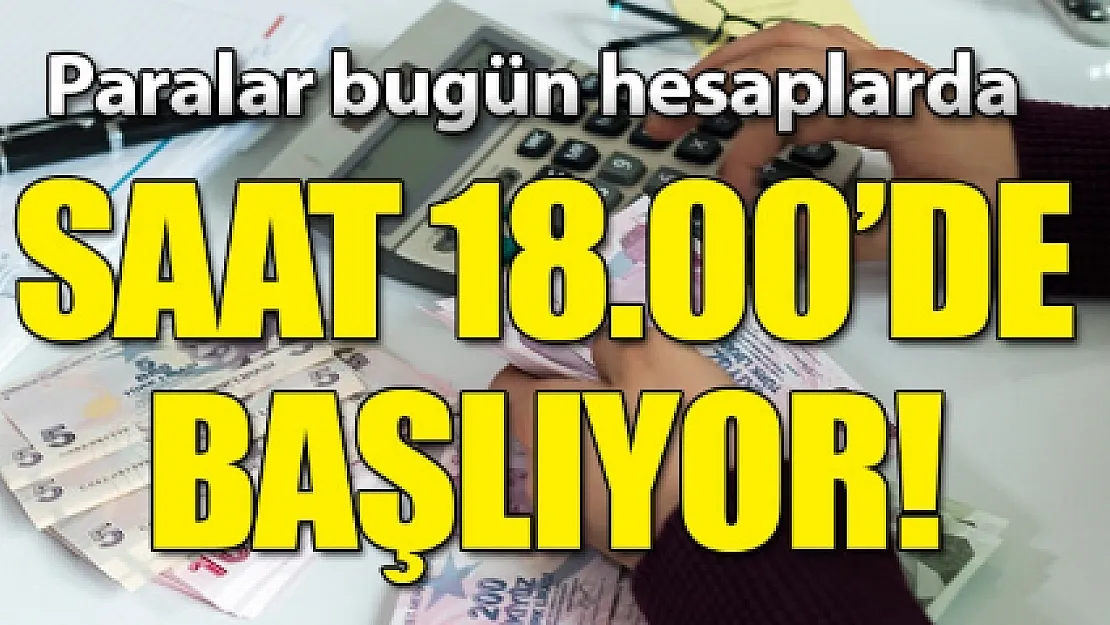 Ödemeler bugün yapılıyor! T.C. kimlik no son hanesi 4, 6 ve 8 olanlar dikkat!