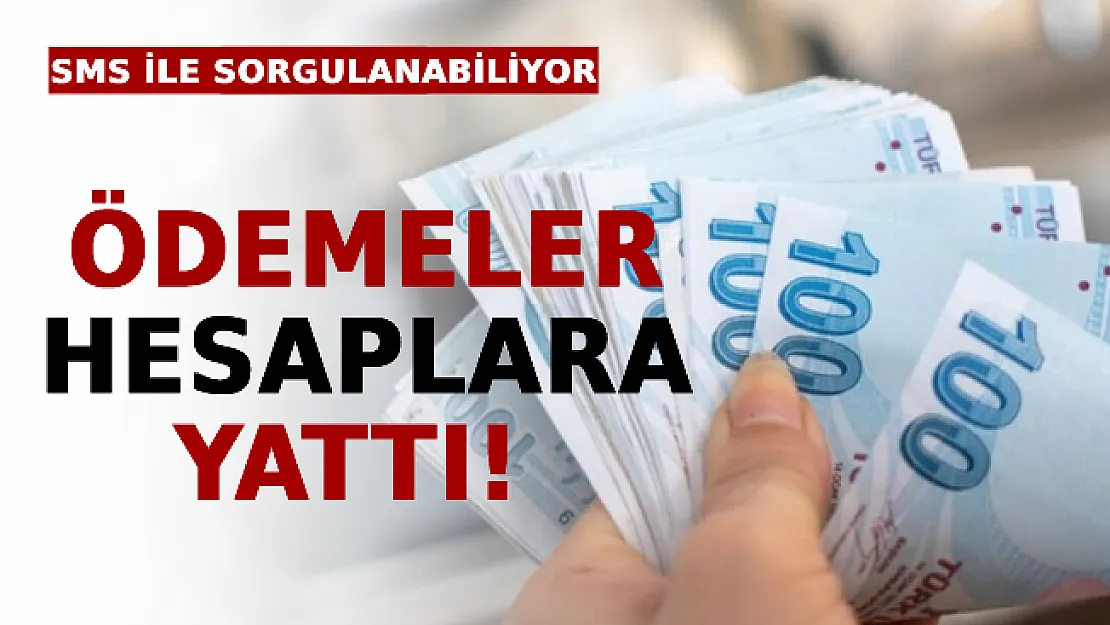 Ödemeler Hesaplara Yattı! SMS İle Sorgulanabiliyor