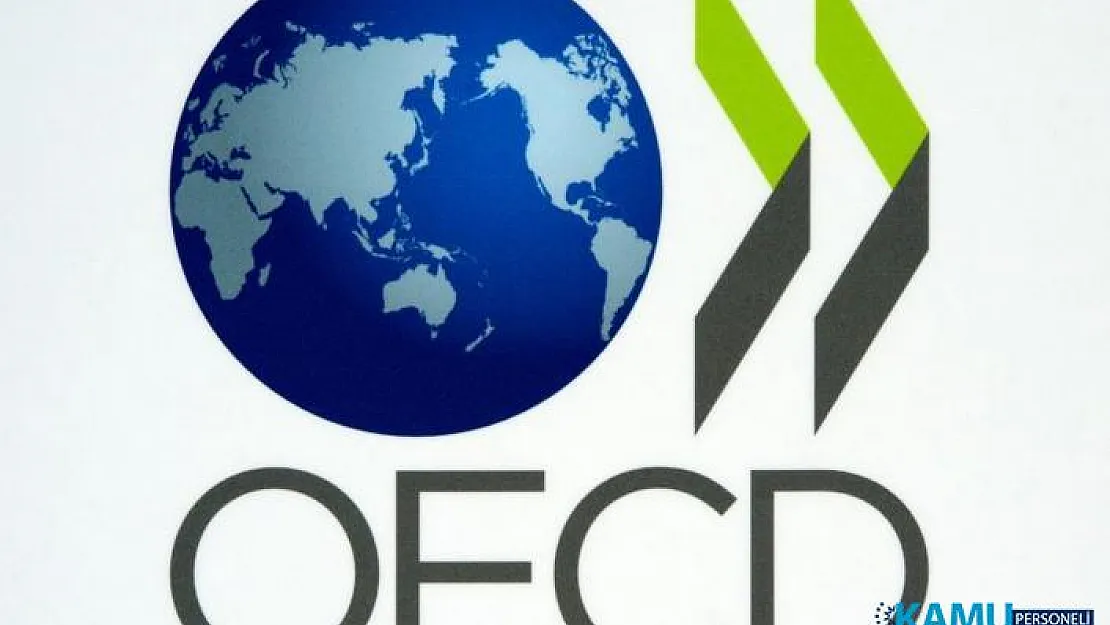OECD'den flaş Türkiye uyarısı: &quotEkonomi 2019'da yüzde 2.6 küçülecek"