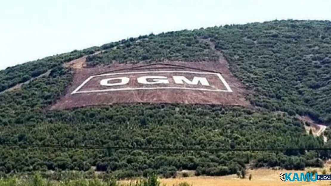 OGM 5 Bin Personel Alımında Uygulanacak Mülakata MHP'den Tepki!