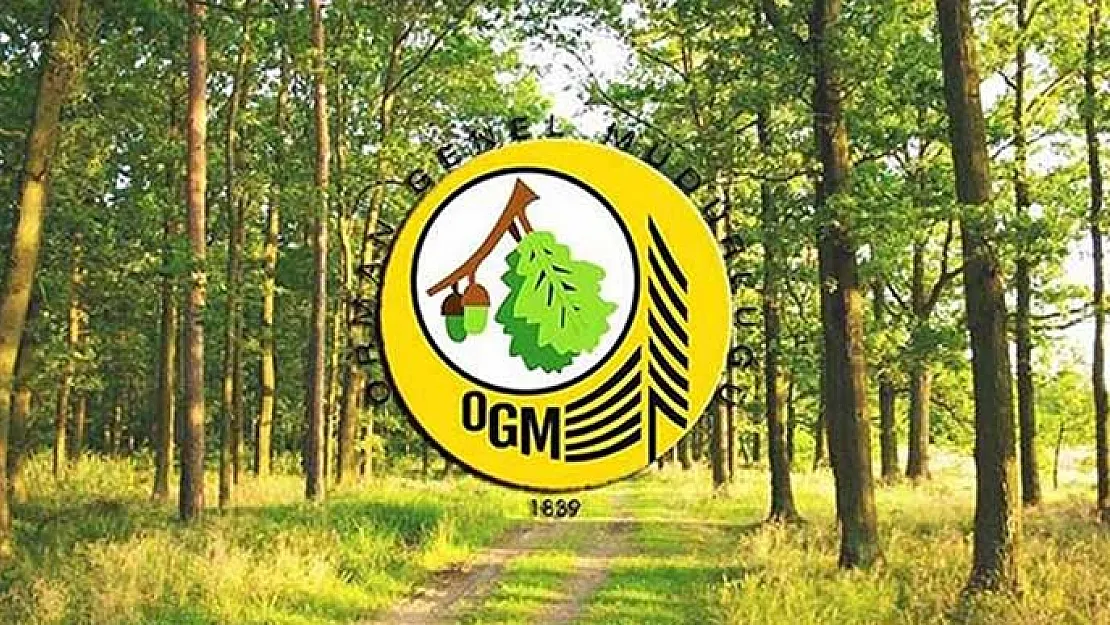 OGM Memur ve Kamu Personeli Alacak: Başvuruda Son Gün Bugün!