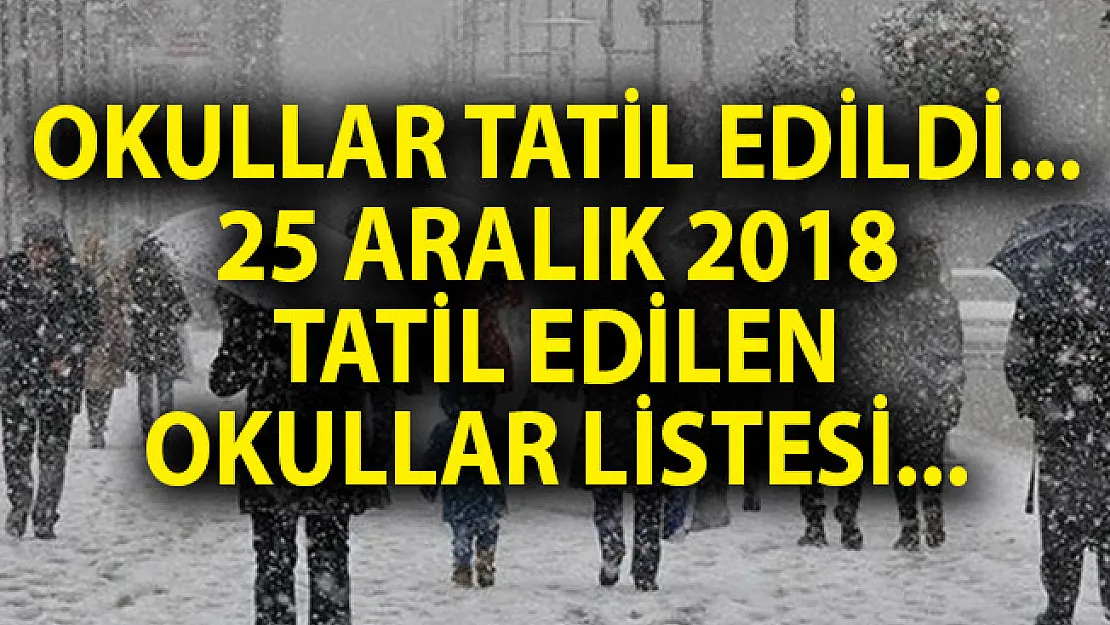 Okullar Tatil Edildi! Yarın Hangi Okullar Tatil Edildi? 25 Aralık Okul Tatili