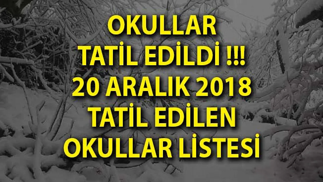 Okullar Tatil Edildi!- Yarın Hangi Okullar Tatil Edildi? 20 Aralık Okul Tatili