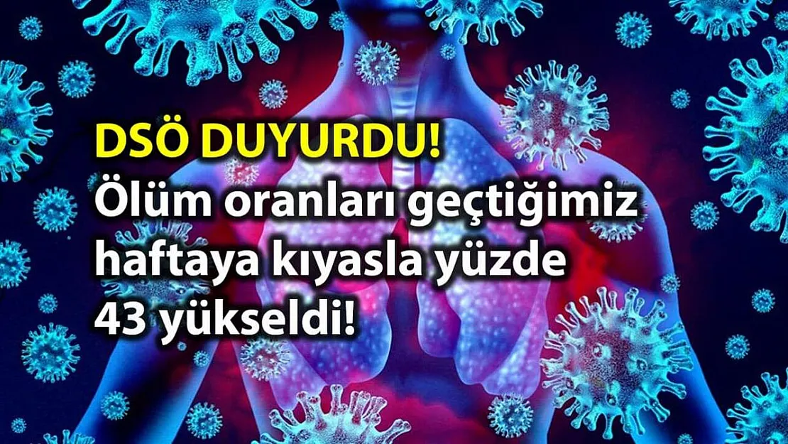 Ölüm oranları geçtiğimiz haftaya kıyasla yüzde 43 yükseldi!