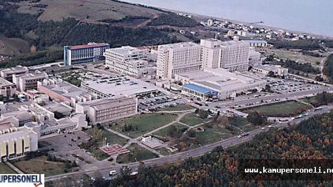 On Dokuz Mayıs Üniversitesi 6 Akademik Personel Alacak