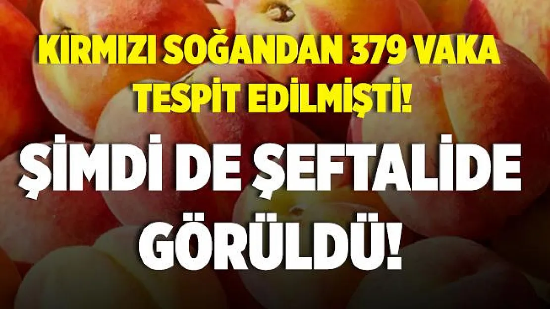 Önce kırmızı soğan şimdi de şeftalilerde Salmonella virüsü!