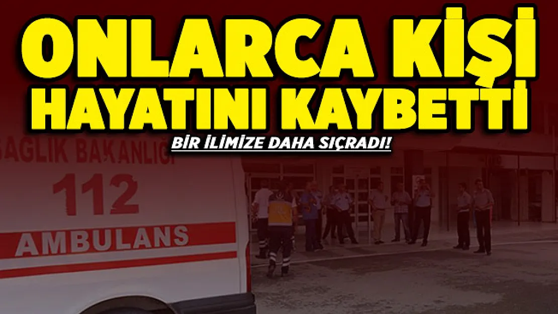 Onlarca kişi hayatını kaybetti! Bir ilimize daha sıçradı