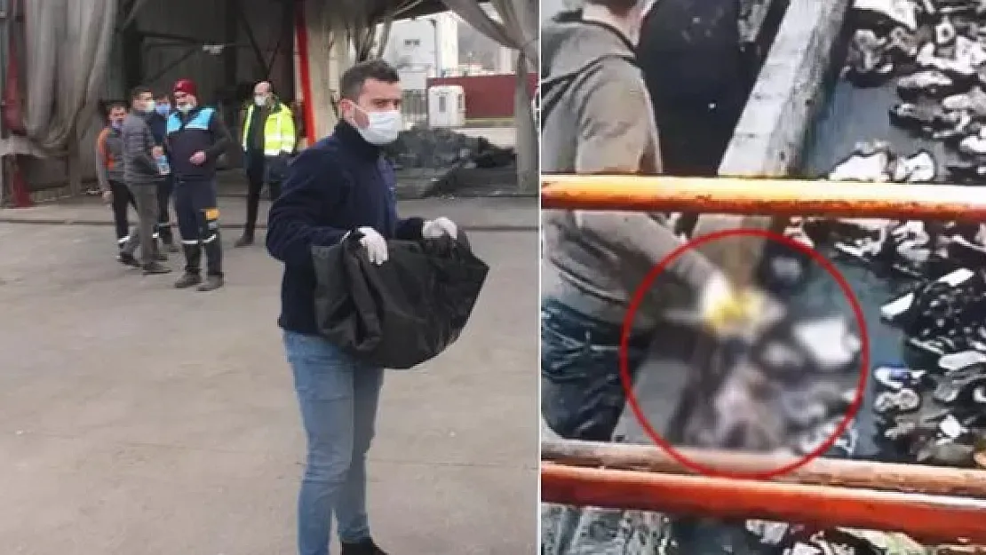 Ordu Ünye ilçesinde bebek cesedi bulundu!