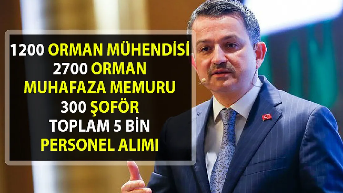 Orman Bakanlığı, 5 bin Memur alımı başvurusu ne zaman başlayacak? Personel alımı iş ilanı detayları!..