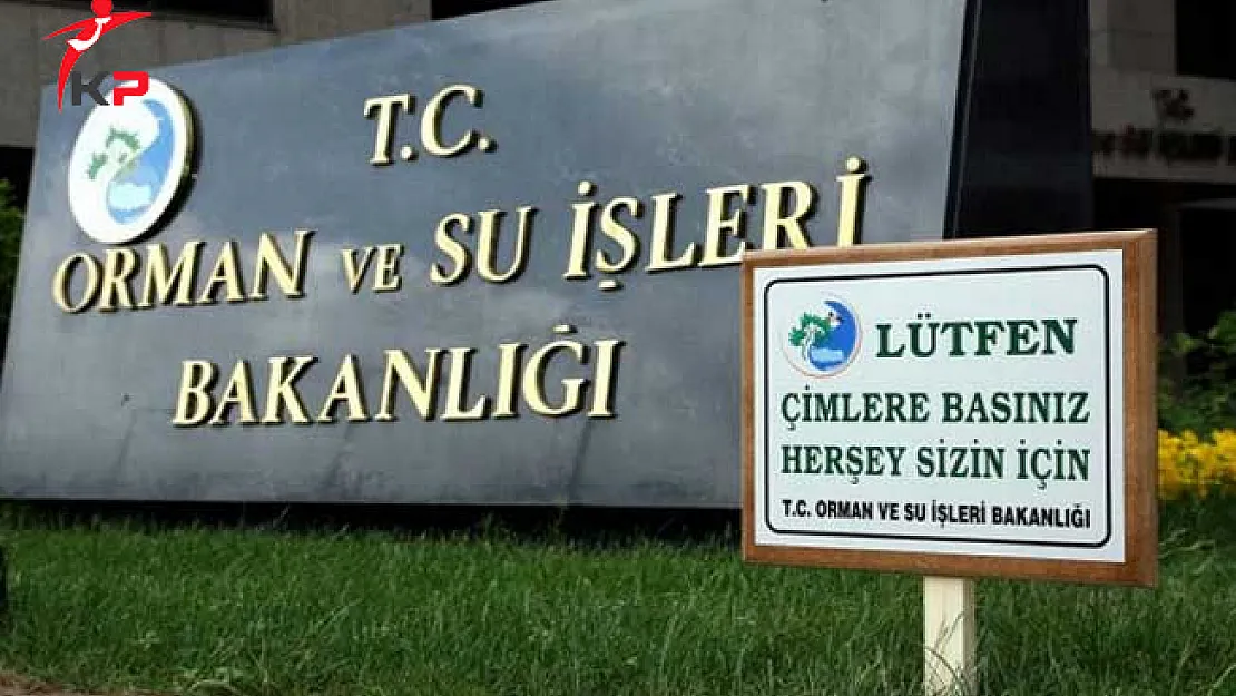 Orman Bakanlığı Personelinin GYS ve Unvan Değişikliği Yönetmeliği Değişti