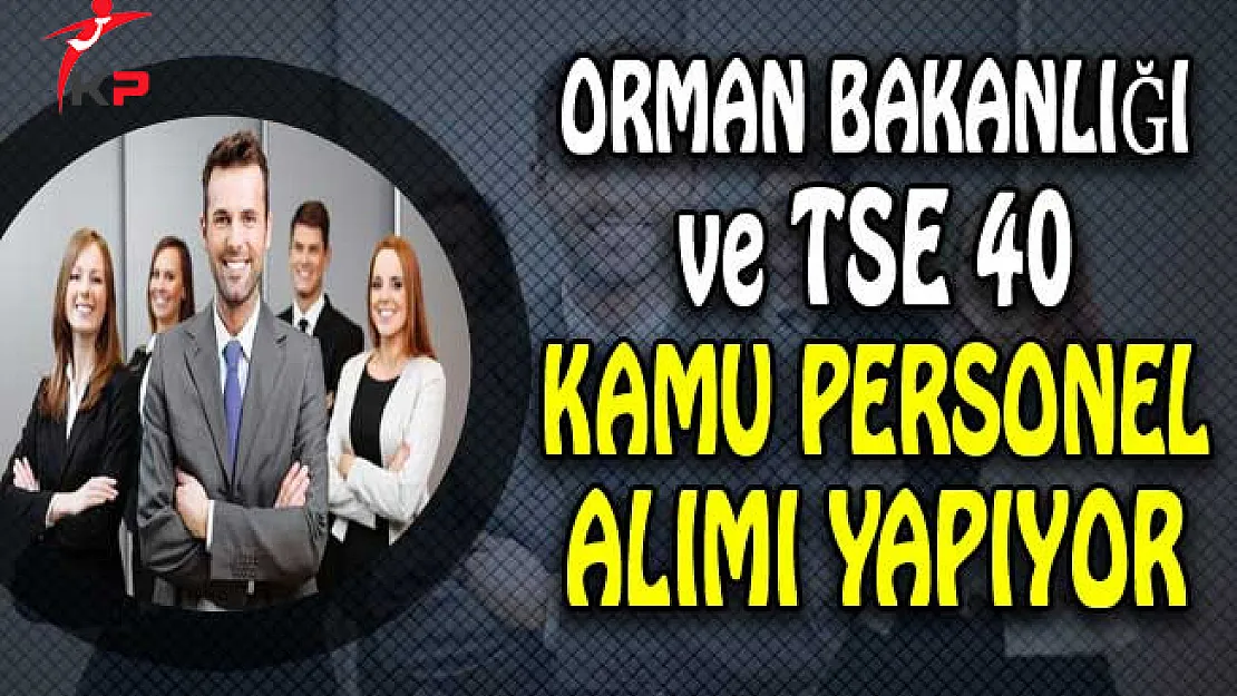 Orman Bakanlığı ve TSE 43 Kamu Personel Alımı Yapıyor