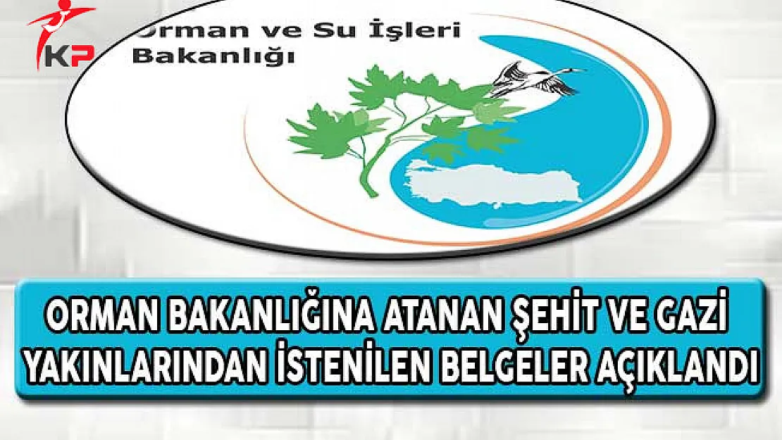 Orman Bakanlığında Atanan Şehit ve Gazi Yakınlarından İstenilen Belgeler Açıklandı
