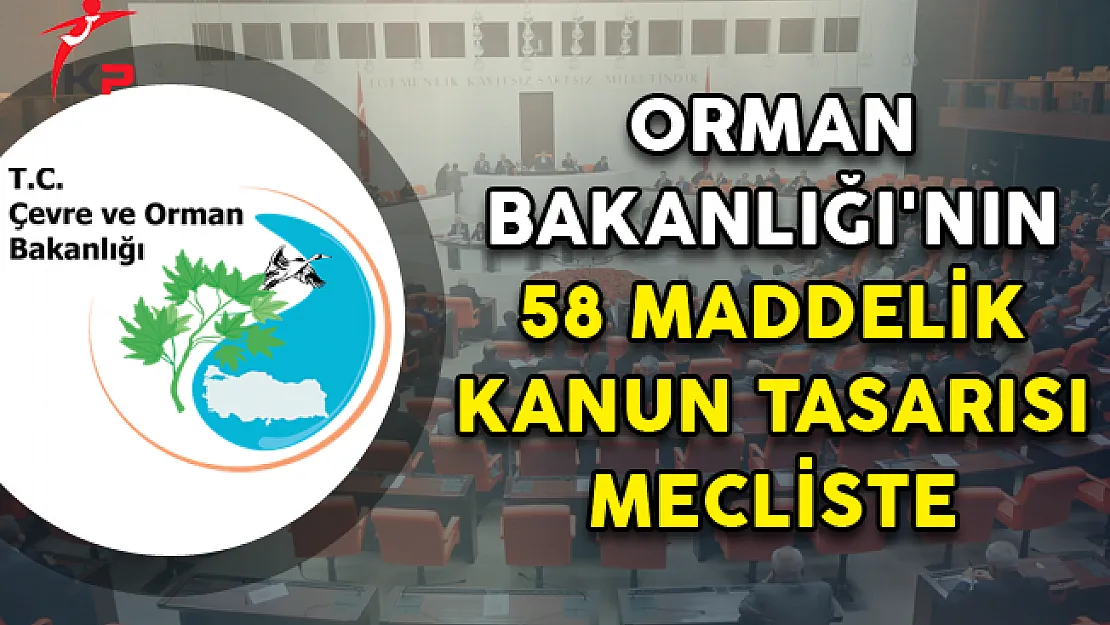 Orman Bakanlığı'nın 58 Maddelik Kanun Tasarısı Mecliste