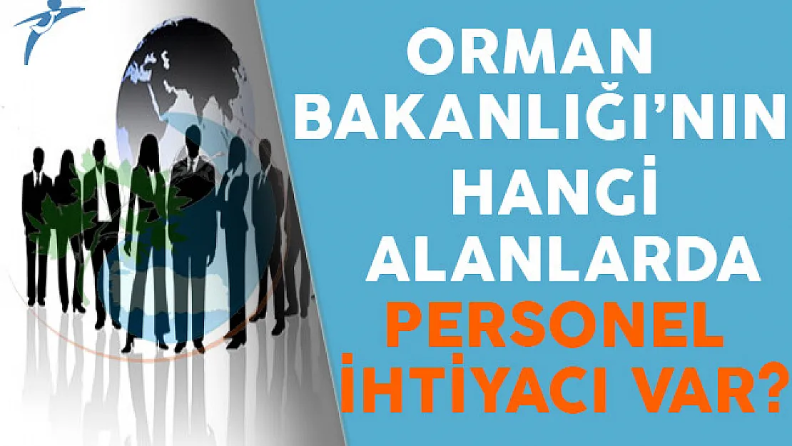 Orman Bakanlığı'nın Hangi Alanlarda Personel İhtiyacı Var?