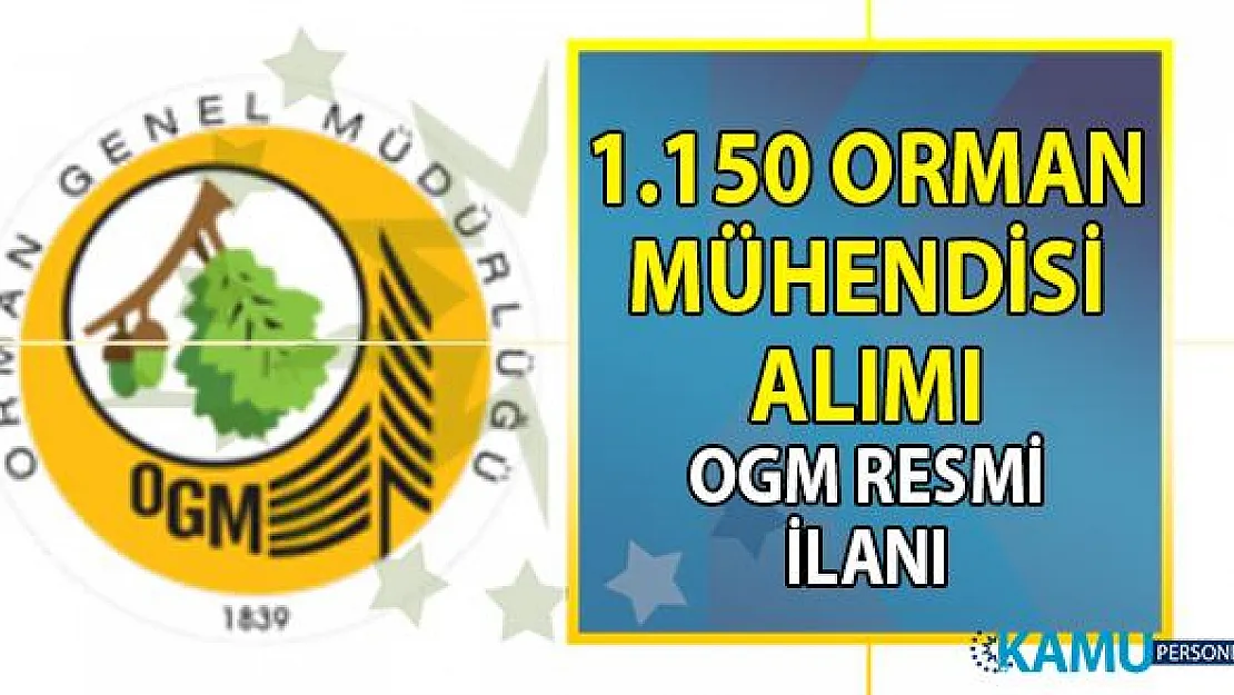Orman Genel Müdürlüğü 1.150 Orman Mühendisi alımı başvuru şartları