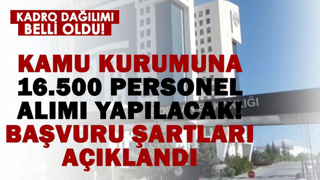 Orman Genel Müdürlüğü 16.500 kamu personeli alacak! 81 il 16.500 personel alım şartları