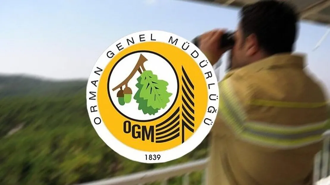 Orman Genel Müdürlüğü 2083 işçi alımı başlıyor! OGM 2083 işçi alımı 2021..