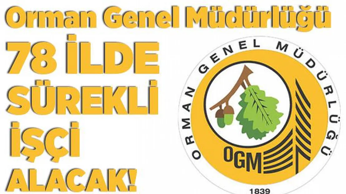 Orman Genel Müdürlüğü 78 ilde sürekli işçi alımı yapacak! Başvuru şartları belli oldu mu? OGM sürekli işçi alımı 2020