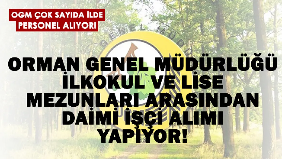 Orman Genel Müdürlüğü çok sayıda ilde daimi işçi alım yapıyor!