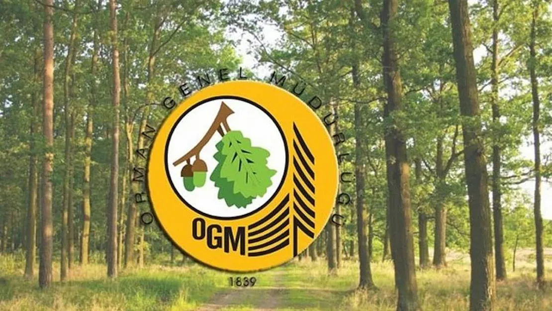 Orman Genel Müdürlüğü duyurdu! OGM'de kadrolu işçi olarak çalışmak isteyen bu ilana dikkat