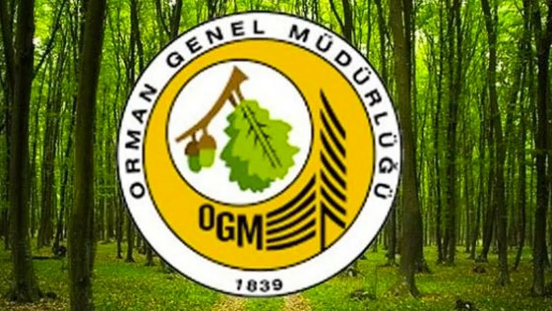 Orman Genel Müdürlüğü işçi alımı İŞKUR üzerinden başladı! OGM 2083 işçi alımı 2021 başvuru ekranı!