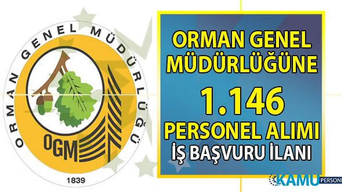 Orman Genel Müdürlüğü KPSS 60 puan ile 1.146 Personel alımı iş başvurusu ilanı!