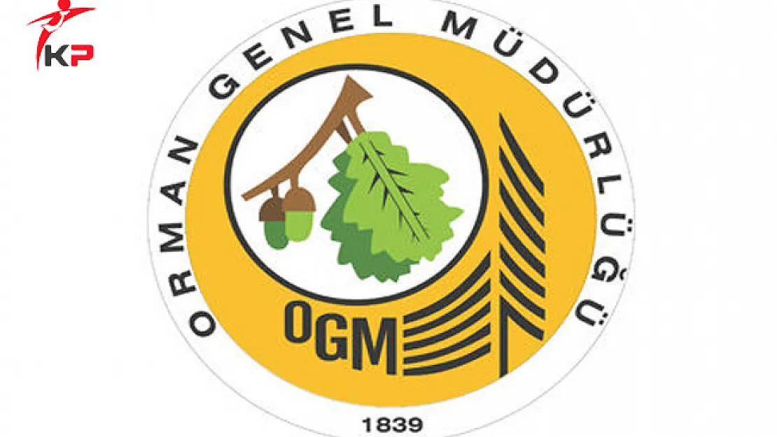 Orman Genel Müdürlüğü Muhafaza Memurları Tayin Duyurusu