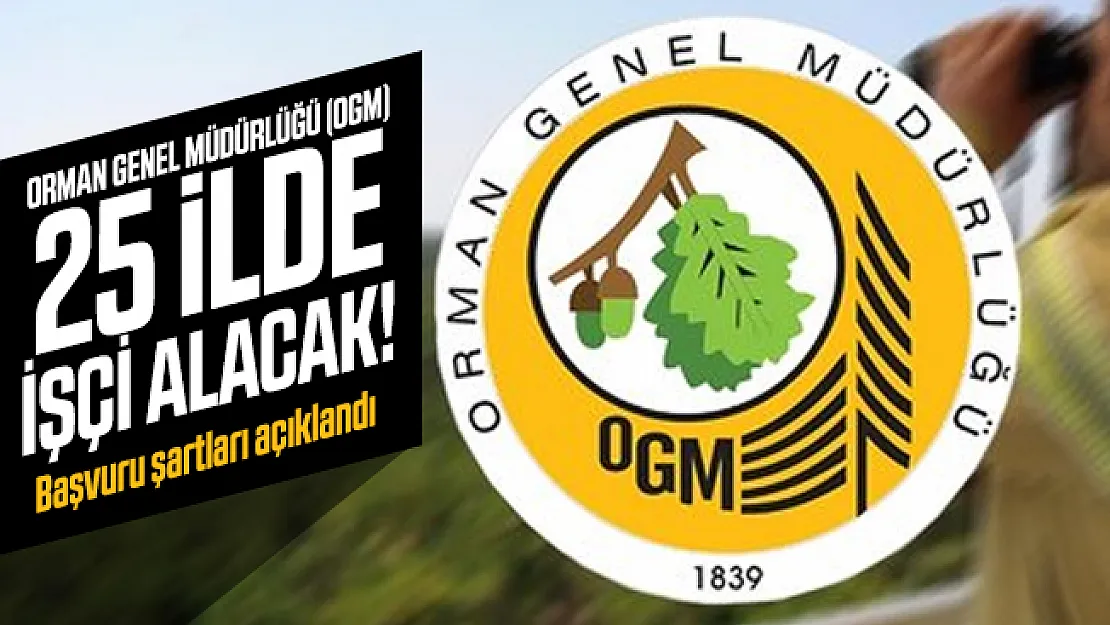Orman Genel Müdürlüğü (OGM) 25 ilde işçi alınacak! Başvuru şartları açıklandı