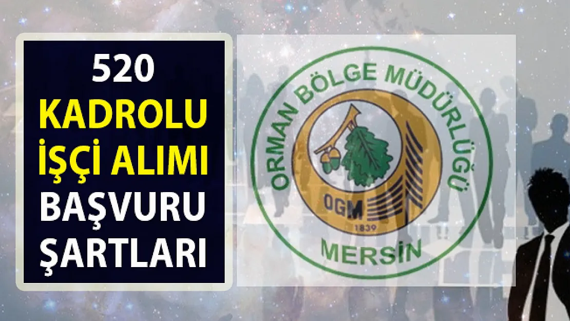 Orman Genel Müdürlüğü (OGM) 520 kadrolu kamu işçi alımı başvuru şartları!