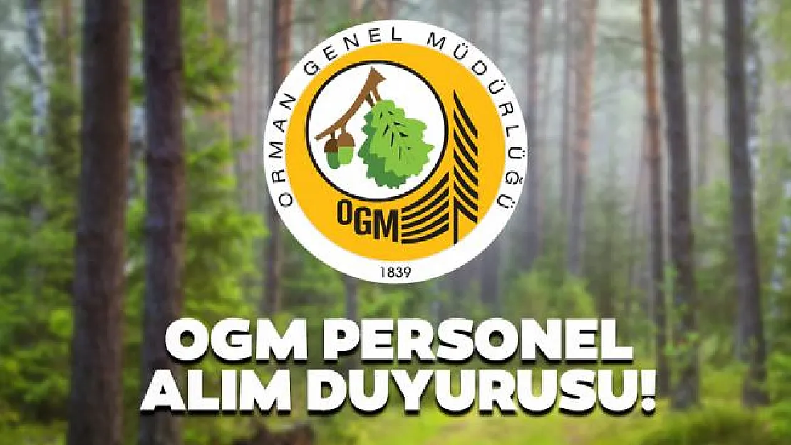 Orman Genel Müdürlüğü (OGM) 700 işçi alımı İŞKUR başvuruları bugün başladı! Başvuru şartları nelerdir?