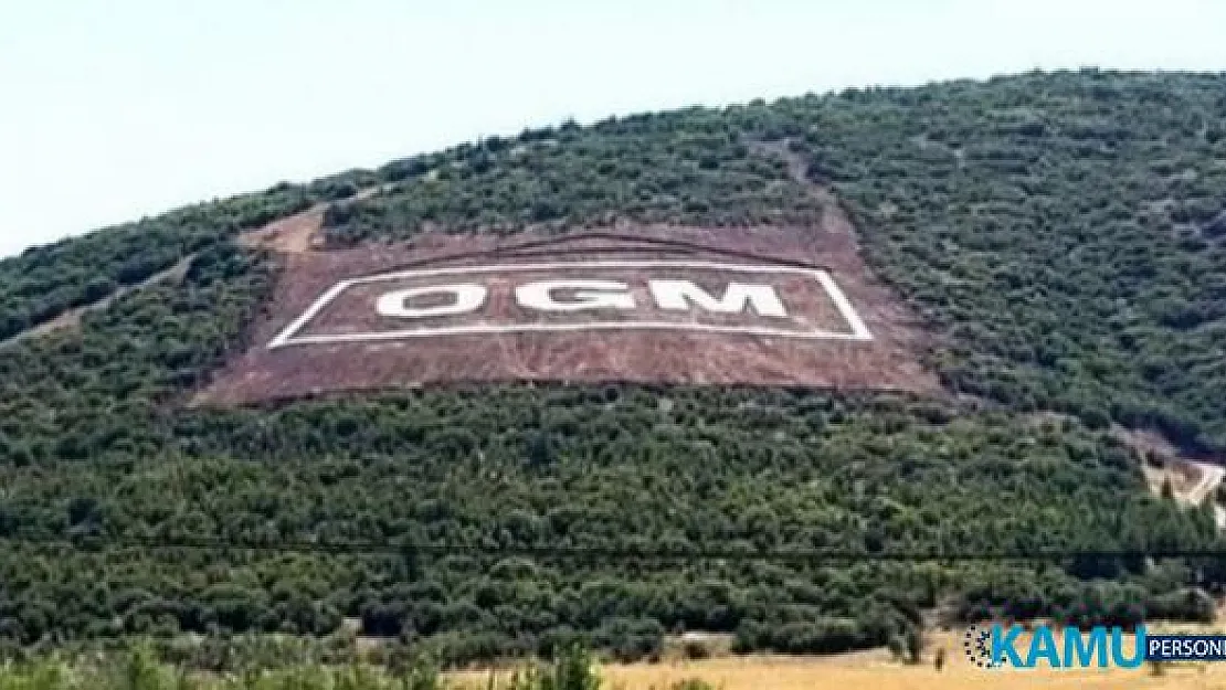 Orman Genel Müdürlüğü (OGM) sözleşmeli personel alımı başvuruları 23 EYlül 2019'da sona eriyor!