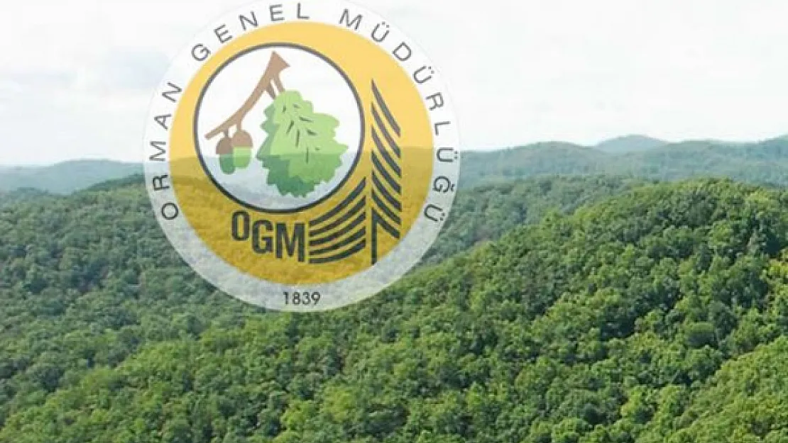 Orman Genel Müdürlüğü (OGM) sürpriz işçi alım duyurusu: 18 yaş üstü başvurabilir! KPSS şartlı en az ilköğretim mezunu