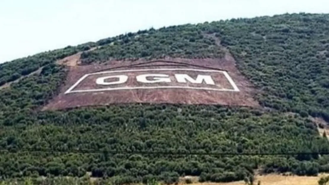Orman Genel Müdürlüğü personel alımı başvuruları başladı!