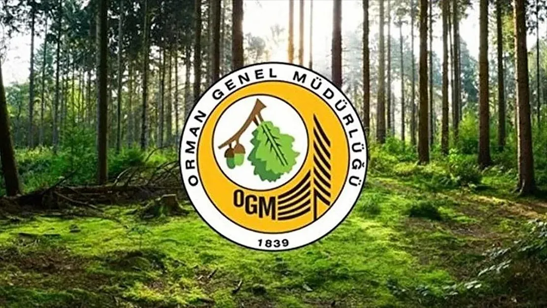 Orman Genel Müdürlüğü personel alımı yapacak! KPSS şartı yok